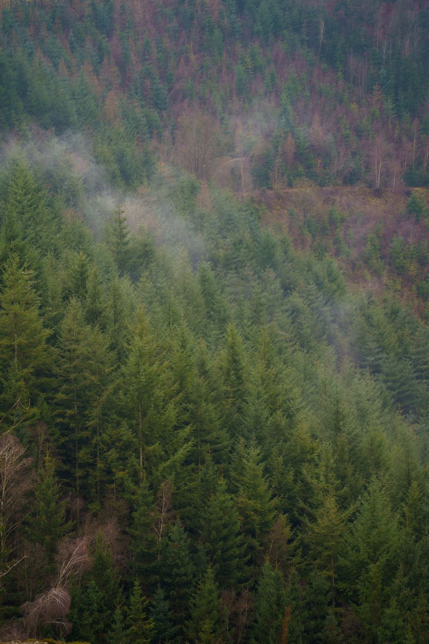 Ardennen wandelpad
